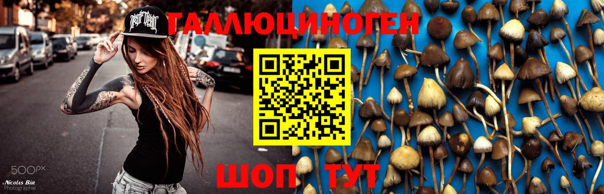 ГАШИШ Орск