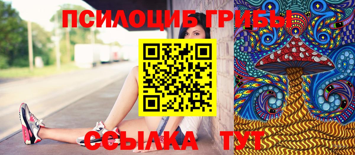 Псилоцибиновые грибы прущие грибы  Вход с VPN  Псилоцибиновые грибы Psilocybe  Орск 