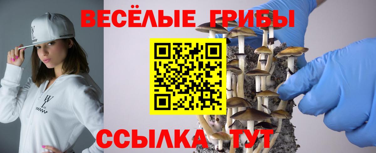 Псилоцибиновые грибы мухоморы Орск